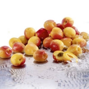 Griechenland Aprikosen Tyrinthos