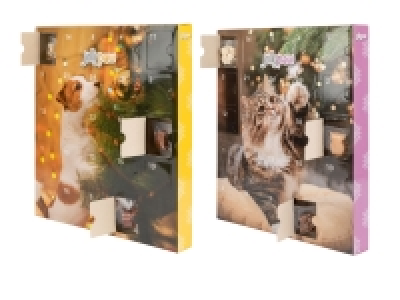 Lidl Jollypaw Jollypaw Tier Adventskalender