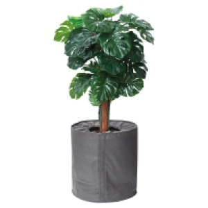 GARDENLINE® Kälte-Topfschutz 9.99 €