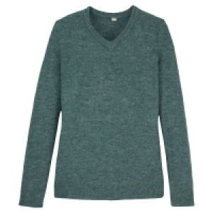 Aldi Süd  BLUE MOTION Damen Pullover