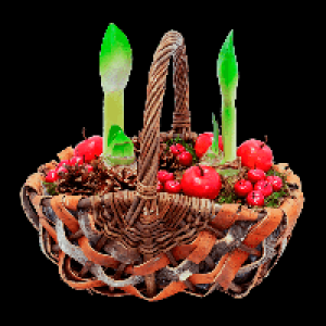 GARDENLINE Amaryllis im Korb 16.99 €