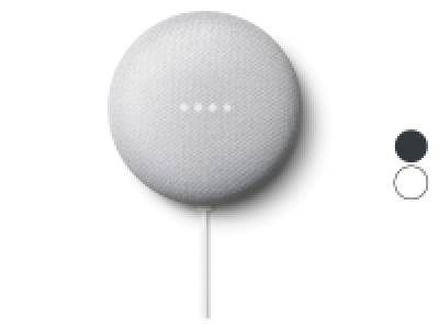Google Nest Mini