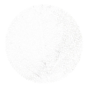 Deckchen mit Baum-Motiv, Ø ca. 38cm 2.09 €