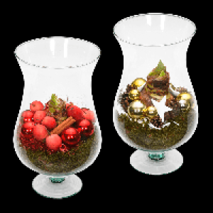 GARDENLINE Amaryllis im Glasschwenker 12.99 €