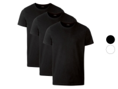 Lidl Livergy LIVERGY 3 Herren T-Shirts