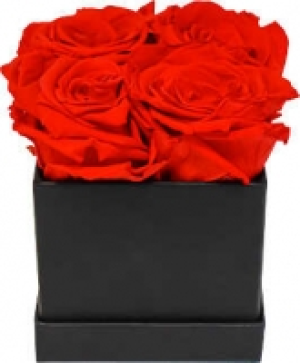 Infinity Rosenbox 4er 29.99 €