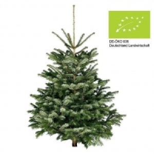 Piardino Bio-Nordmanntanne 39.95 €