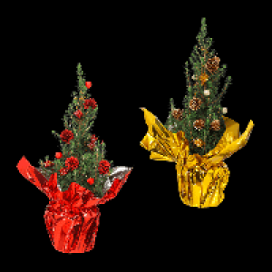 GARDENLINE Zuckerhutfichte 5.99 €